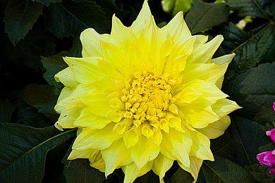 《Mirror 2：Project X》彩云篇正式上线 追加新角色僵尸娘